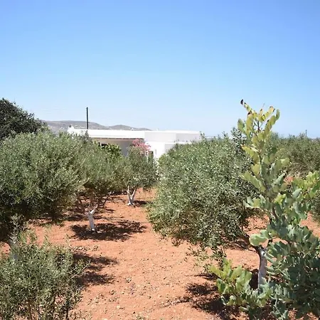 Gardenparadise Sifnaios In Paros Vakantiehuis *