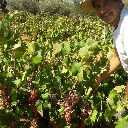 Gardenparadise Sifnaios In Paros Vakantiehuis *