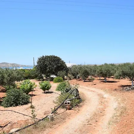 Vakantiehuis Gardenparadise Sifnaios In Paros