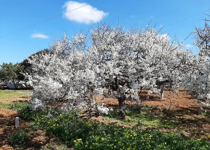 בית נופש Gardenparadise Sifnaios In Paros *