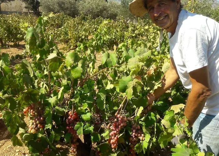 Gardenparadise Sifnaios In Paros בית נופש *