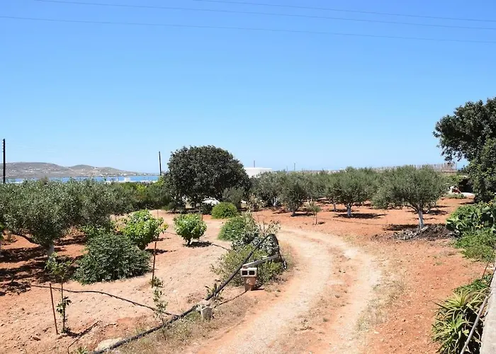 בית נופש Gardenparadise Sifnaios In Paros