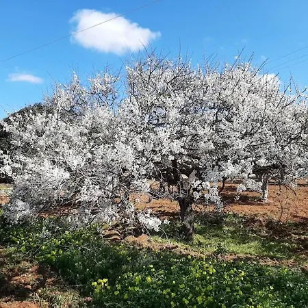Semesterbostad Gardenparadise Sifnaios In Paros *