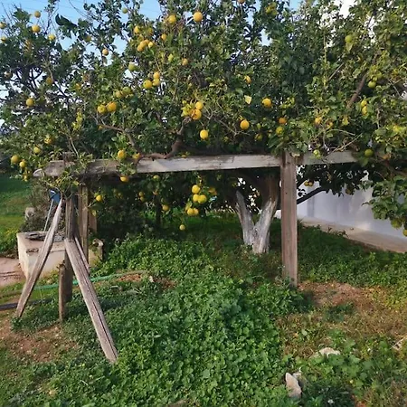 Semesterbostad Gardenparadise Sifnaios In Paros Kampos (Antiparos)