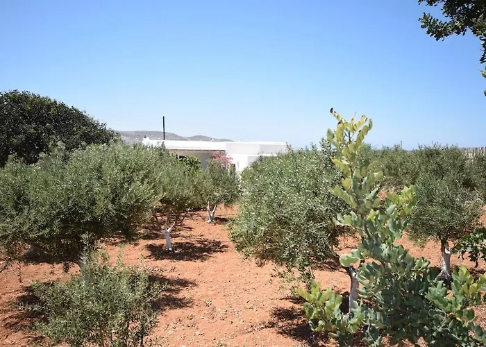 Gardenparadise Sifnaios In Paros Casa vacanze *