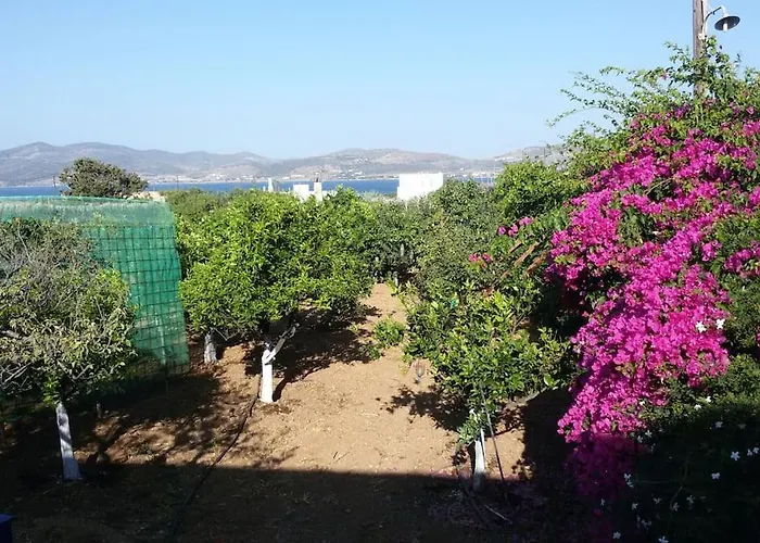 Gardenparadise Sifnaios In Paros *